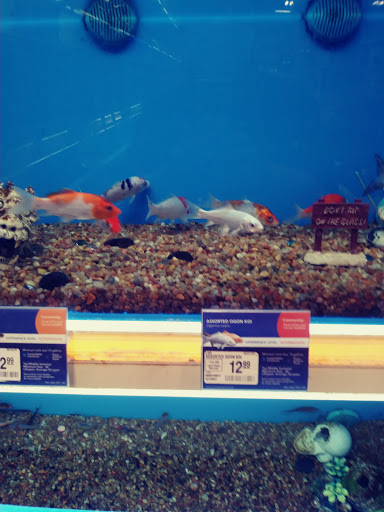 Aquarium shop Arlington