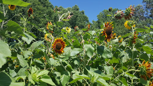 Amusement Center «Stanley Pond Adventure Farm», reviews and photos, 15426 County Rd 48, Astatula, FL 34705, USA