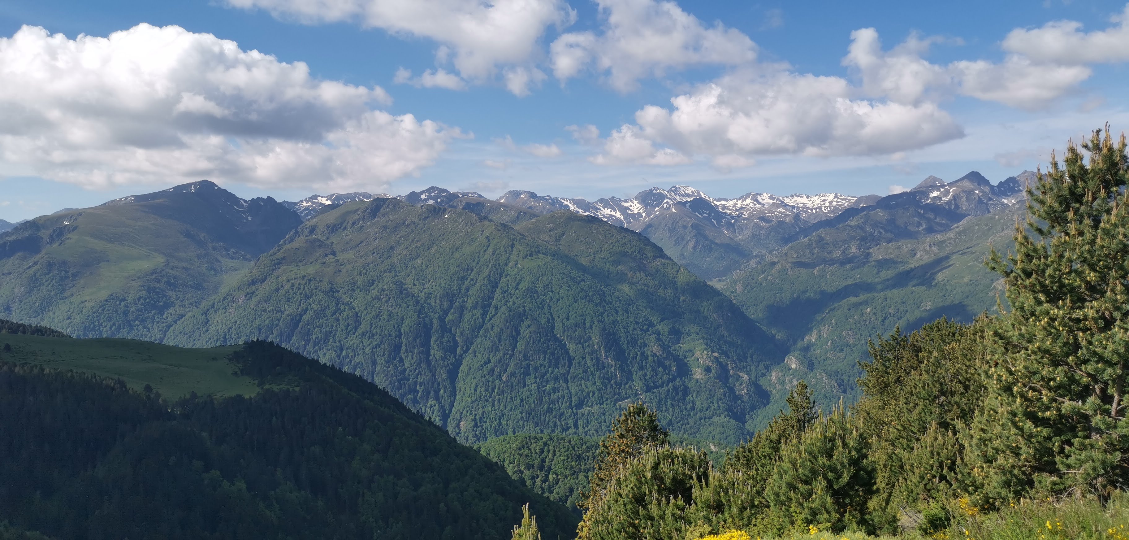 Photo n° 30 de l'avis de Angélique. fait le 03/06/2020 à 18:17