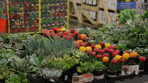 Home Improvement Store «The Home Depot», reviews and photos, 2551 S Interstate Hwy 35, Round Rock, TX 78664, USA