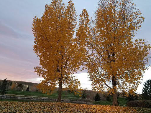 Golf Club «Omni Interlocken Golf Club», reviews and photos, 800 Eldorado Blvd, Broomfield, CO 80021, USA