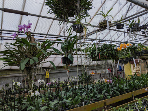 Florist «Little Brook Orchids», reviews and photos, 25 Rider Ave, Lancaster, PA 17603, USA