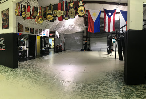 Gym «Striker Fight Center», reviews and photos, 771 Shallowford Rd, Kennesaw, GA 30144, USA