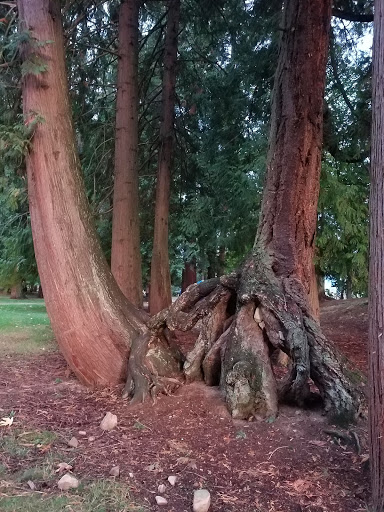 Public Golf Course «Ferguson Park Disk Golf Course», reviews and photos, 1303 Ferguson Park Rd, Snohomish, WA 98290, USA