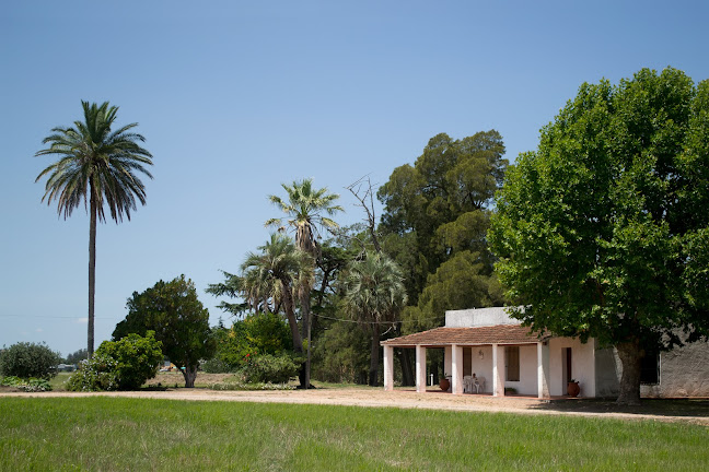 Escribana Cristina Cardarello - Notaria