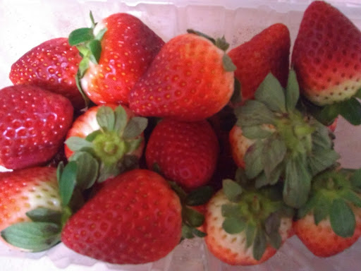 Supermarket «ALDI», reviews and photos, 620 E Brandon Blvd, Brandon, FL 33511, USA