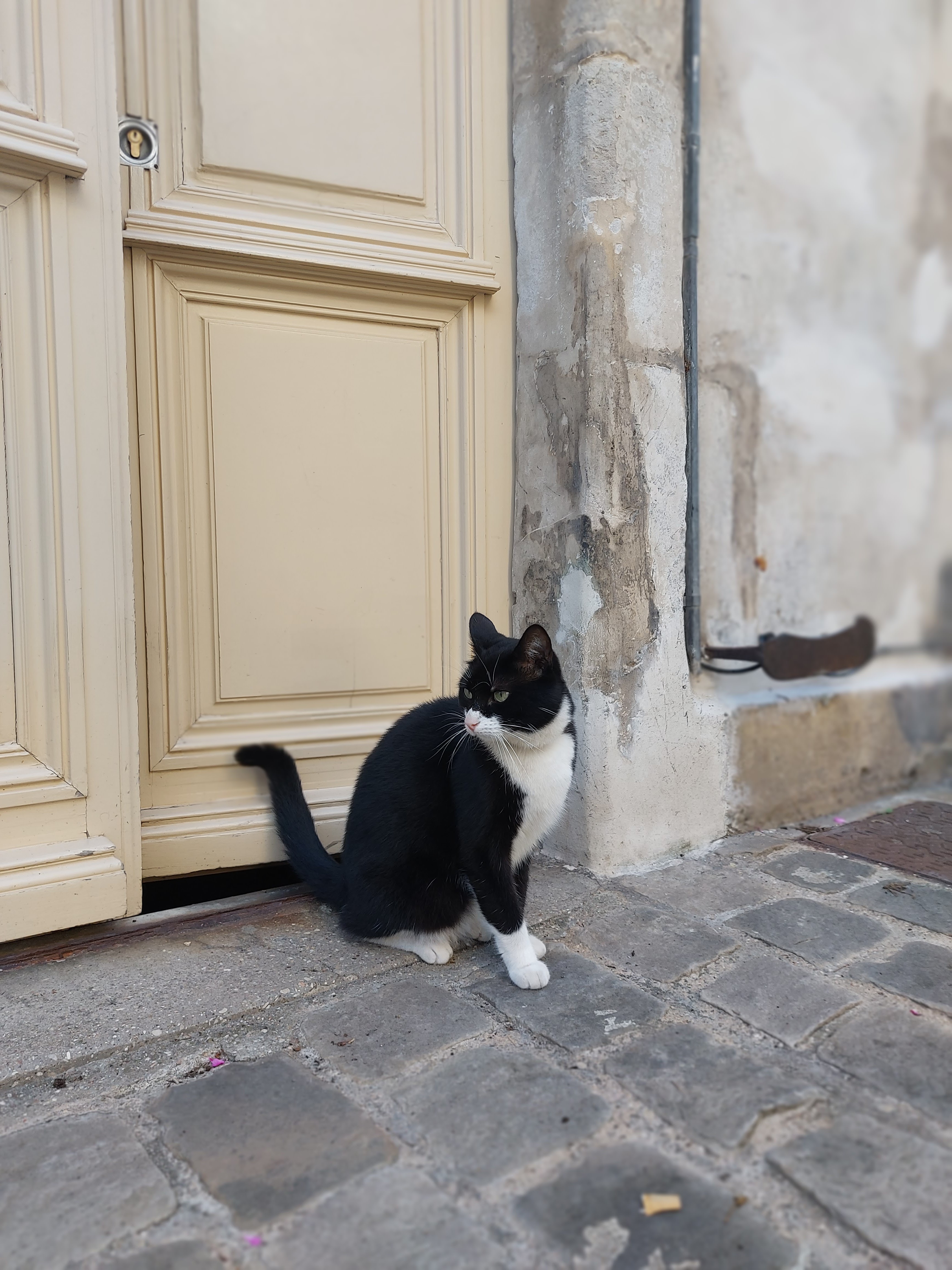 Photo n° 4 de l'avis de Raffaele.a fait le 12/09/2023 à 14:08