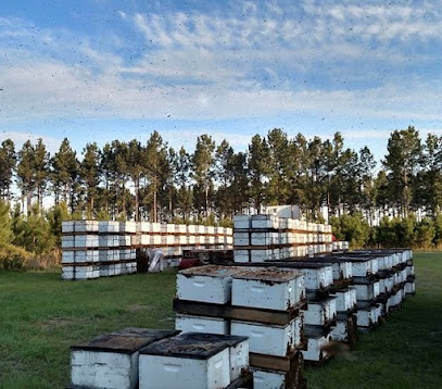 The Honey Bee Factory