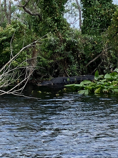 Boat Tour Agency «Alligators Unlimited Airboat Tours», reviews and photos, 14400 Reese Dr, Lake Wales, FL 33898, USA