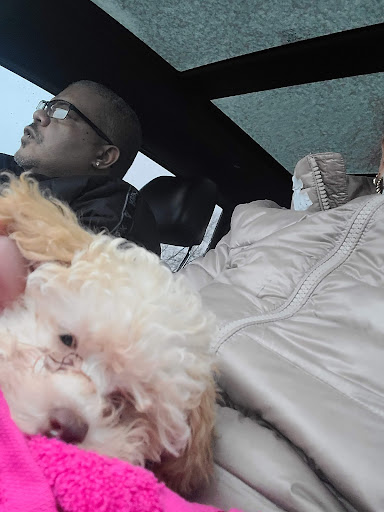 Pet Supply Store «PetSmart», reviews and photos, 351 N Frontage Rd, New London, CT 06320, USA