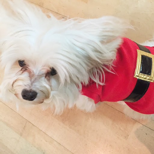 Jewelry Designer «viv&ingrid», reviews and photos, 2142 Oxford St, Berkeley, CA 94704, USA