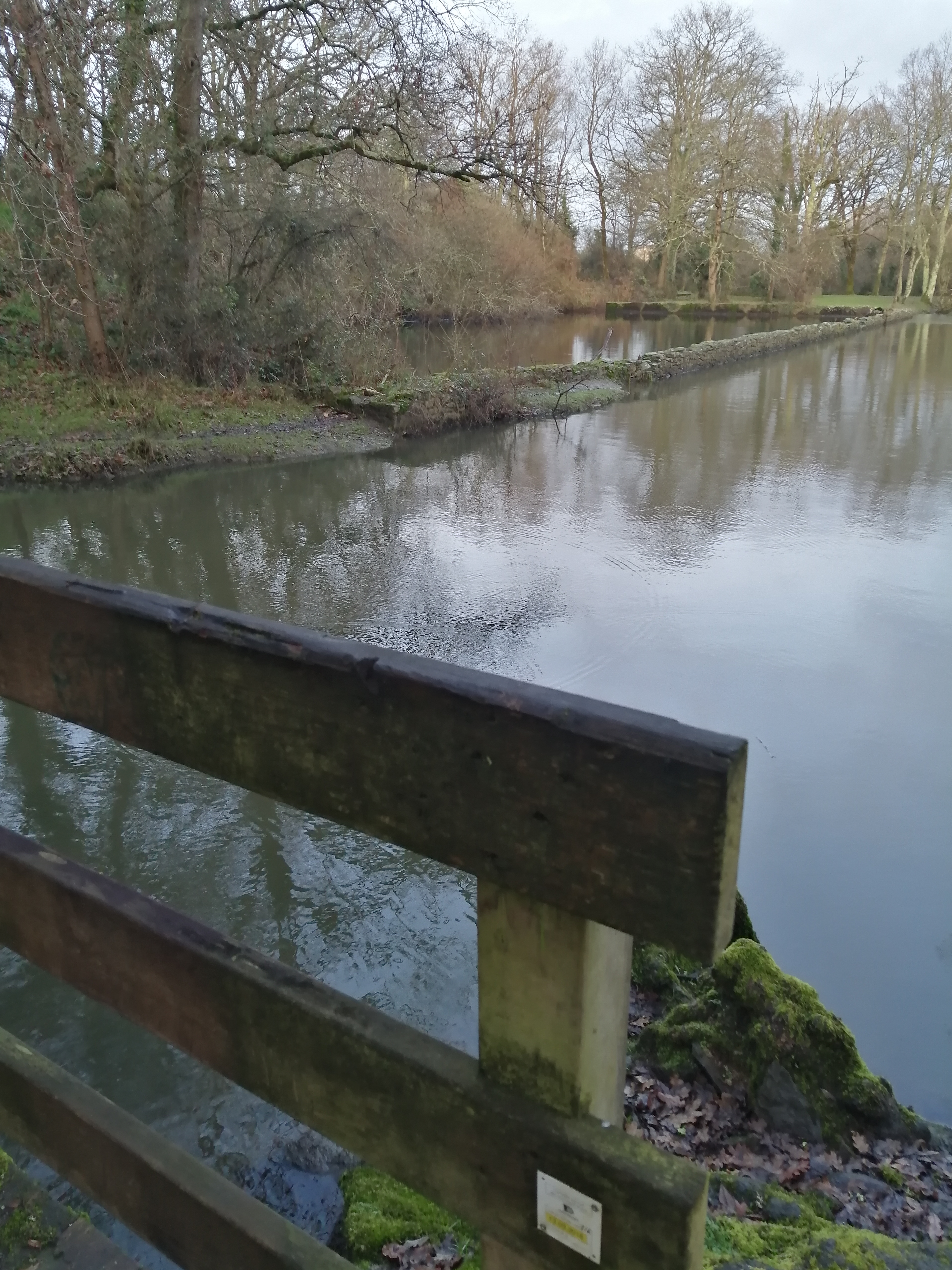 Photo n° 2 de l'avis de Pierre.i fait le 28/01/2020 à 16:51