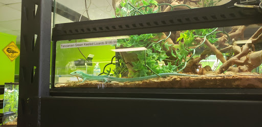 Reptile Store «Reptile Pets Direct», reviews and photos, 8088 Pat Booker Rd, Live Oak, TX 78233, USA