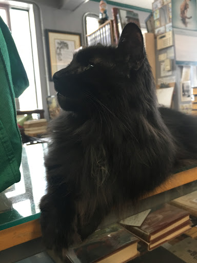 Used Book Store «Atlanta Vintage Books», reviews and photos, 3660 Clairmont Rd, Atlanta, GA 30341, USA