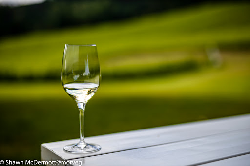 Winery «David Hill Vineyards & Winery», reviews and photos, 46350 NW David Hill Rd, Forest Grove, OR 97116, USA