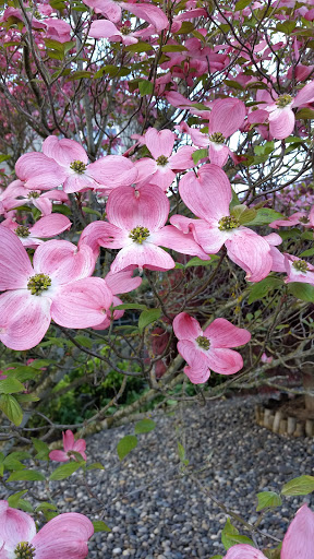 Park «Mt. Scott Park», reviews and photos, SE 72nd Ave & Southeast Harold Street, Portland, OR 97206, USA