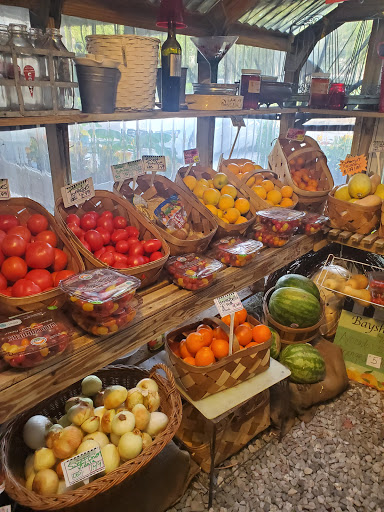 Grocery Store «Bayshore Market», reviews and photos, 5025 Bayshore Blvd, Tampa, FL 33611, USA