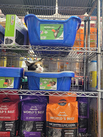 Spoiled Brats - Photo 8 - Car repair in New York, NY, Manhattan