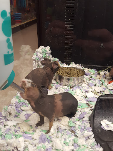 Pet Supply Store «PetSmart», reviews and photos, 3425 Amelia Dr, Orchard Park, NY 14127, USA