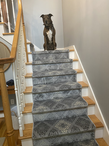 Carpet Store «Galaxy Discount Carpet Store», reviews and photos, 2608 Berlin Turnpike, Newington, CT 06111, USA