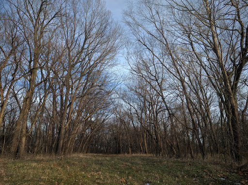 Little Blue Trace Trail Access and Picnic Area