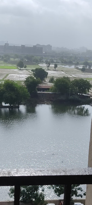 Google Maps image 12