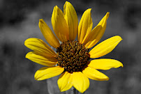 Una Schade Photography & Design - Photo 4 - Car repair in , Aurora