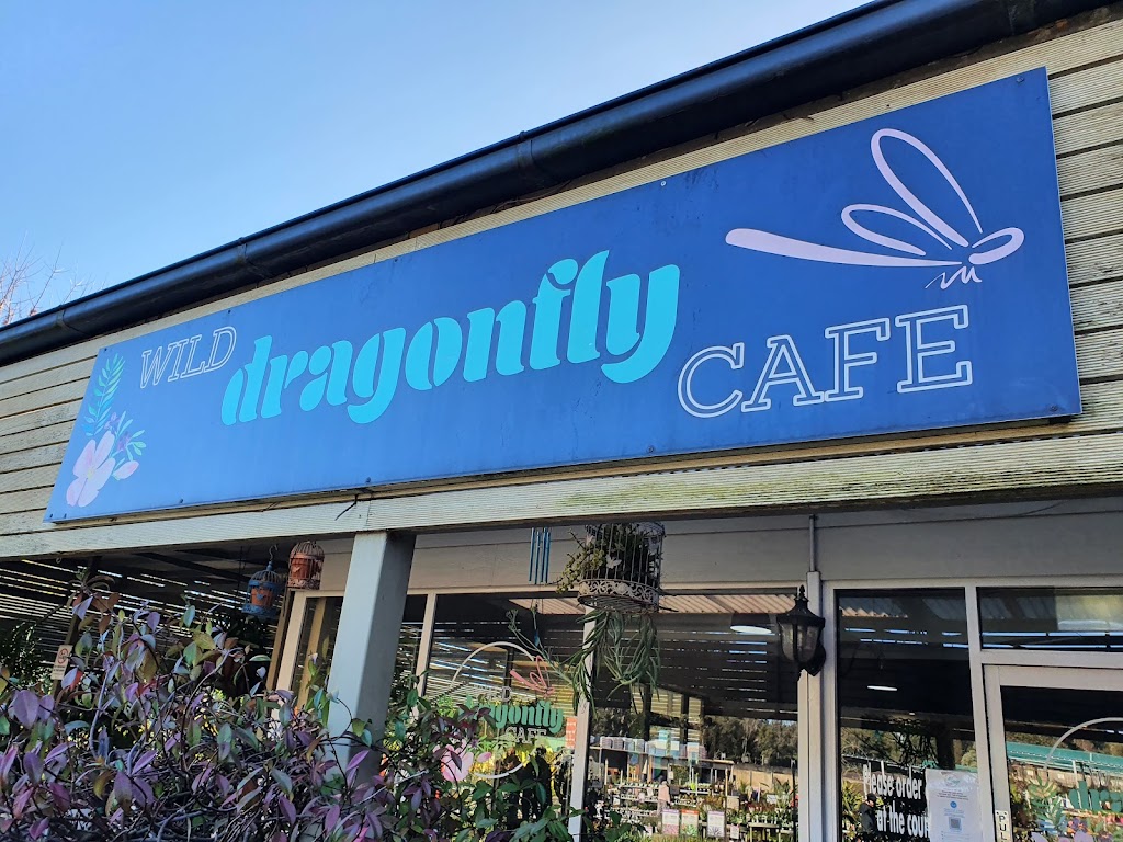 Wild Dragonfly Cafe 2570
