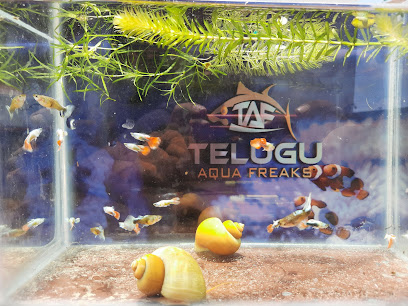 Telugu aqua fish