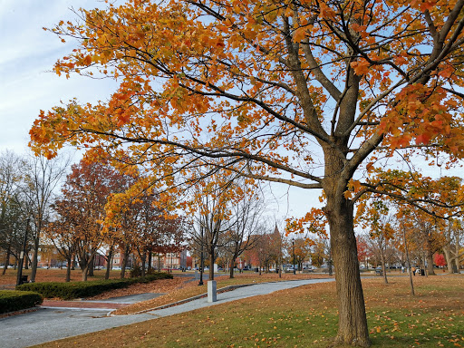 Park «Campagnone Common», reviews and photos, 200 Common St, Lawrence, MA 01840, USA