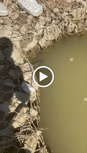 Department Store «Target», reviews and photos, 900 Metropolitan Ave #2, Charlotte, NC 28204, USA