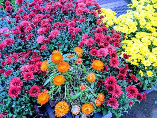 Hardware Store «Orchard Supply Hardware», reviews and photos, 2245 Gellert Blvd, South San Francisco, CA 94080, USA