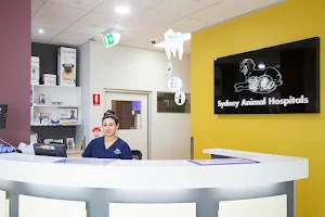 Sydney Animal Hospitals Norwest image