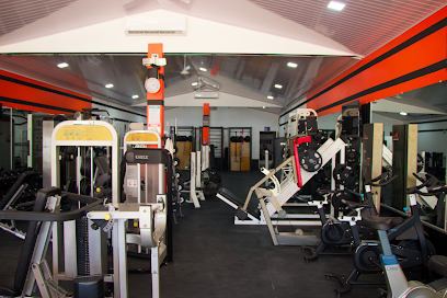 THE GYM