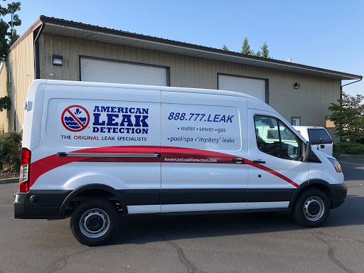 Accurate Leak Detection in Eugene, Oregon