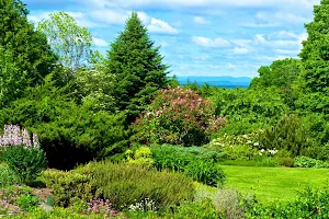 Distant Hill Gardens image