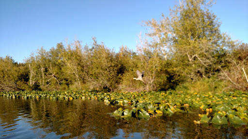 Golf Course «Scott lake Golf Course», reviews and photos, 11746 Scott Creek Dr SW, Olympia, WA 98512, USA