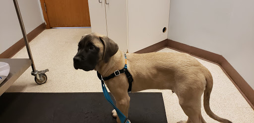 19106 WA-410, Bonney Lake, WA 98391, USA