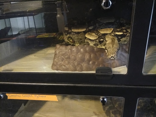 Tropical Fish Store «Harris In Wonderland», reviews and photos, 12 W Main St, Avon, CT 06001, USA