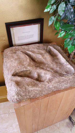 Museum «Creation Evidence Museum», reviews and photos, 3102 FM 205, Glen Rose, TX 76043, USA