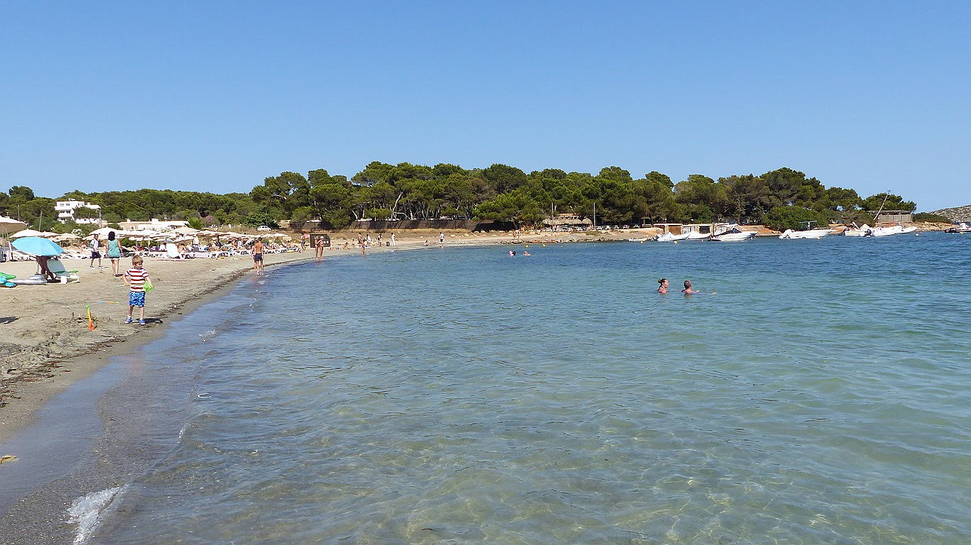 Photo of Playa Cala Martina with spacious multi bays
