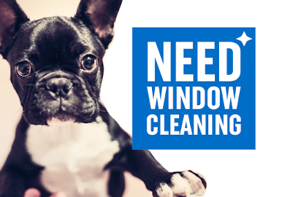 Need Window Cleaning