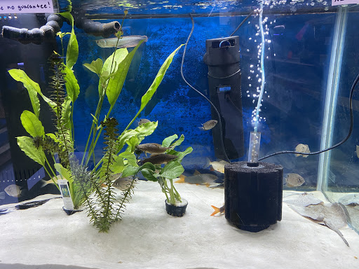 Pet Store «Jules Pet Shop», reviews and photos, 2214 N Milwaukee Ave, Chicago, IL 60647, USA