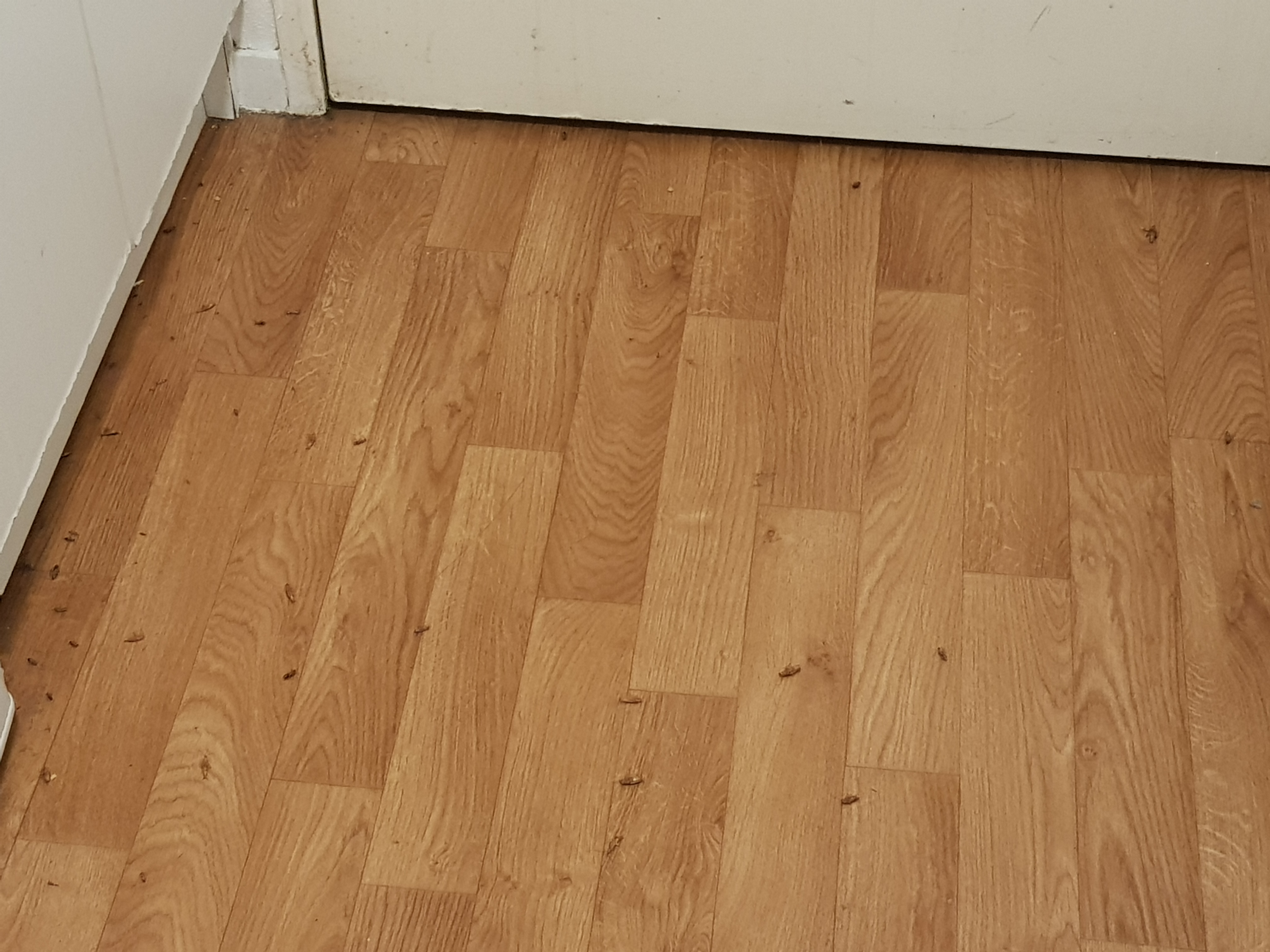 Photo n° 2 de l'avis de Fella.i fait le 12/02/2024 à 18:47