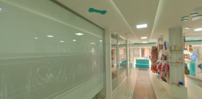 Hospital Veterinario Dr Pulys - Baños de Agua Santa
