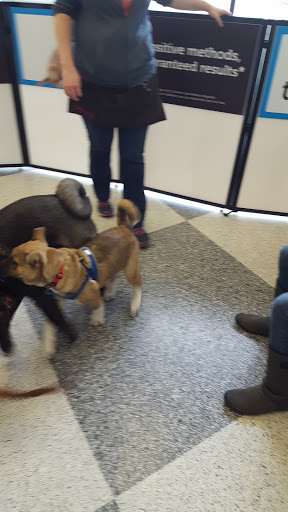 Pet Supply Store «Petco Animal Supplies», reviews and photos, 2000 NE Burnside Rd, Gresham, OR 97030, USA