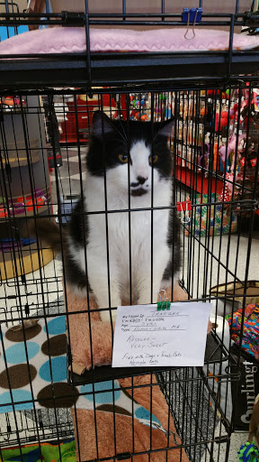 Pet Supply Store «Petco Animal Supplies», reviews and photos, 5700 100th St SW, Lakewood, WA 98499, USA