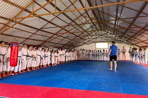 Shkola Tradytsiynoho Karate "Okinava" image