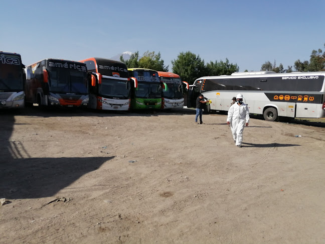 Opiniones de Transportes america line en Arequipa - Servicio de transporte