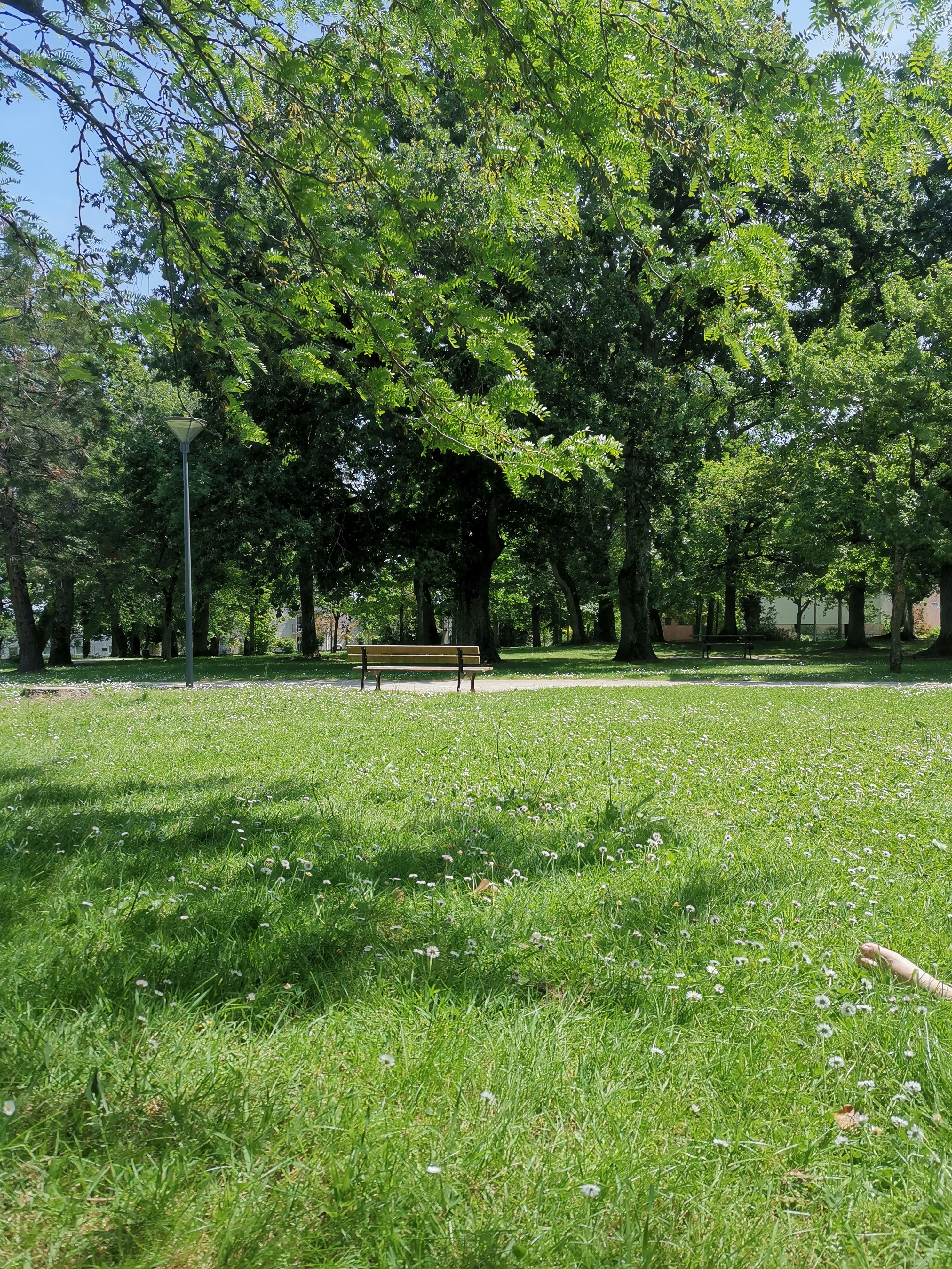 Photo n° 3 de l'avis de Florian.r fait le 24/05/2023 à 12:22